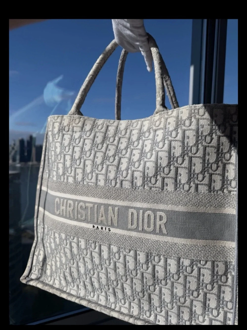 Christian Dior Large Book Tote Gray Oblique Embroidery Authentic Dust Bag - Picture 3 of 12